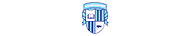 DFMS